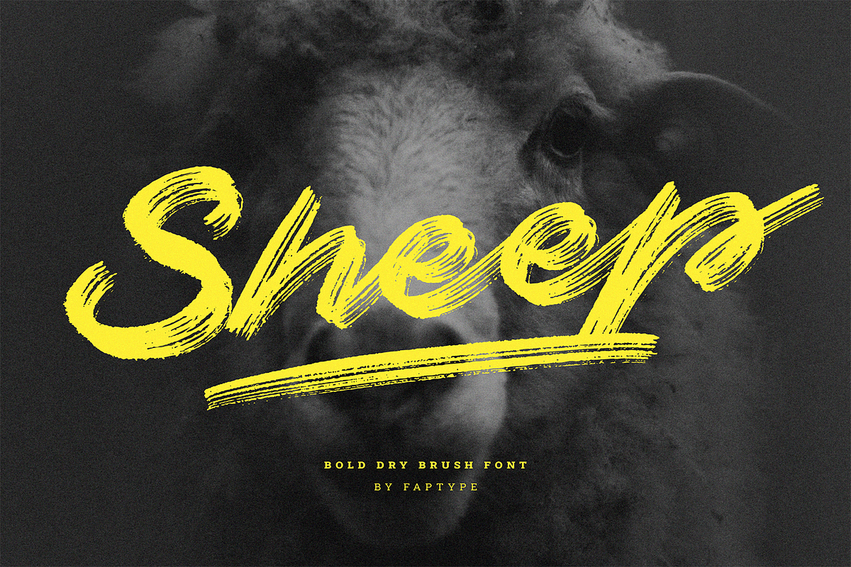 Sheep | Dry Brush Script Font, a Script Font by Ardana Creative (Photo 1 of 6)