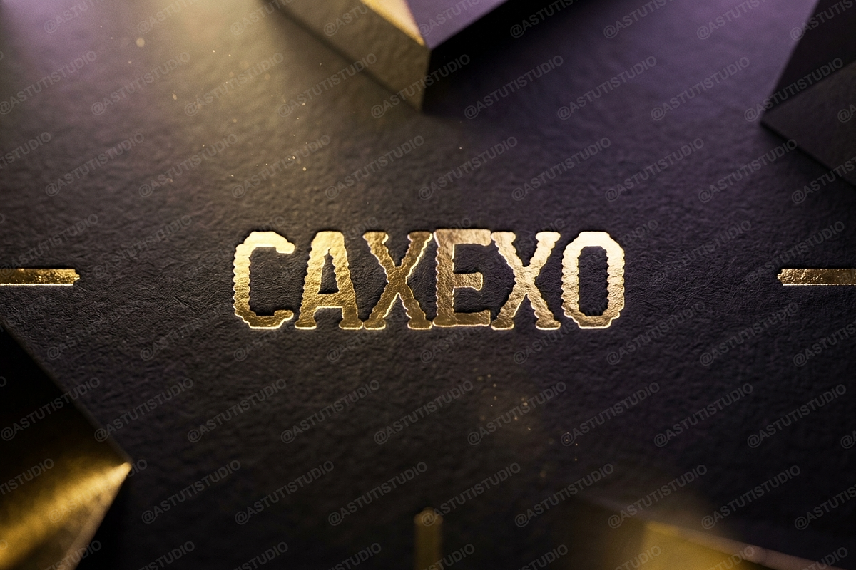Caxexo - Modern Elegant Serif, a Serif Font by Astuti Studio (Photo 20 of 25)