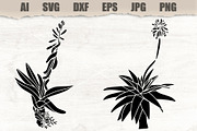 Stencils Gasteria Flower, an Object Illustration by MARYCRAFTIRIA (Thumbnail 1 of 3)