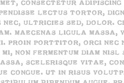 1920 My Toy Print Set, a Slab Serif Font by GLC Foundry (Thumbnail 3 of 5)