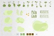 Microgreens Vector Set, an Object Illustration by ElenaKovalyova (Thumbnail 5 of 7)