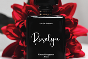 Jackson | Script Font, a Handwritten Font by Scratchones (Thumbnail 5 of 8)