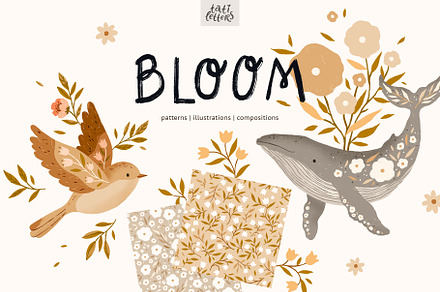 Bloom Patterns and Illustrations, a Decorative Illustration by tatiletters