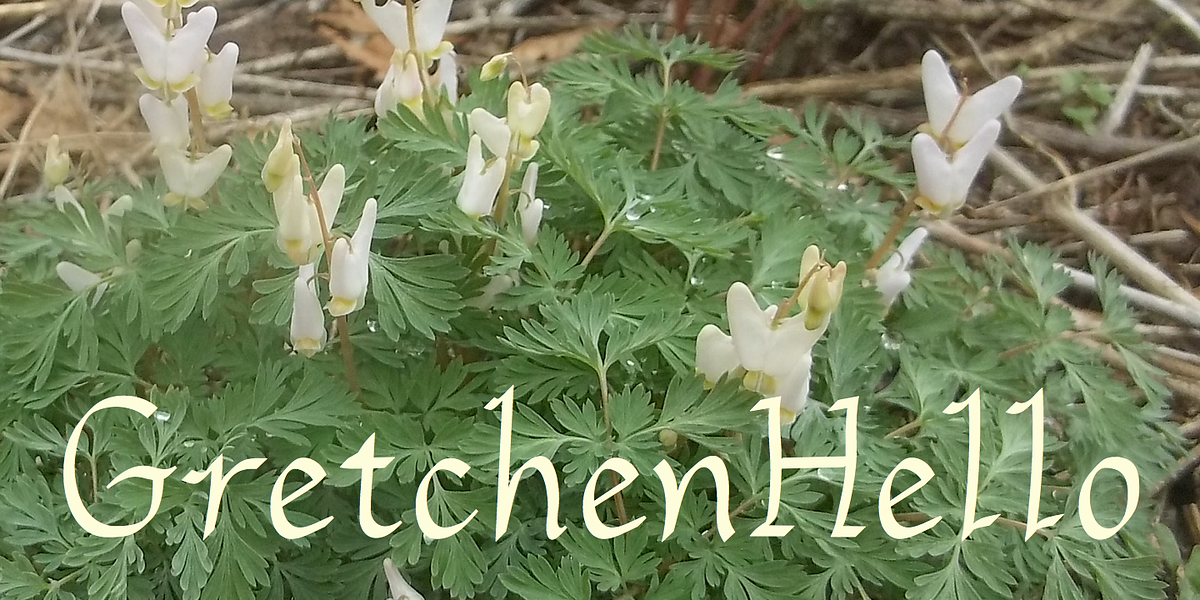 GretchenHello, a Handwritten Font by Ingrimayne Type (Photo 1 of 10)