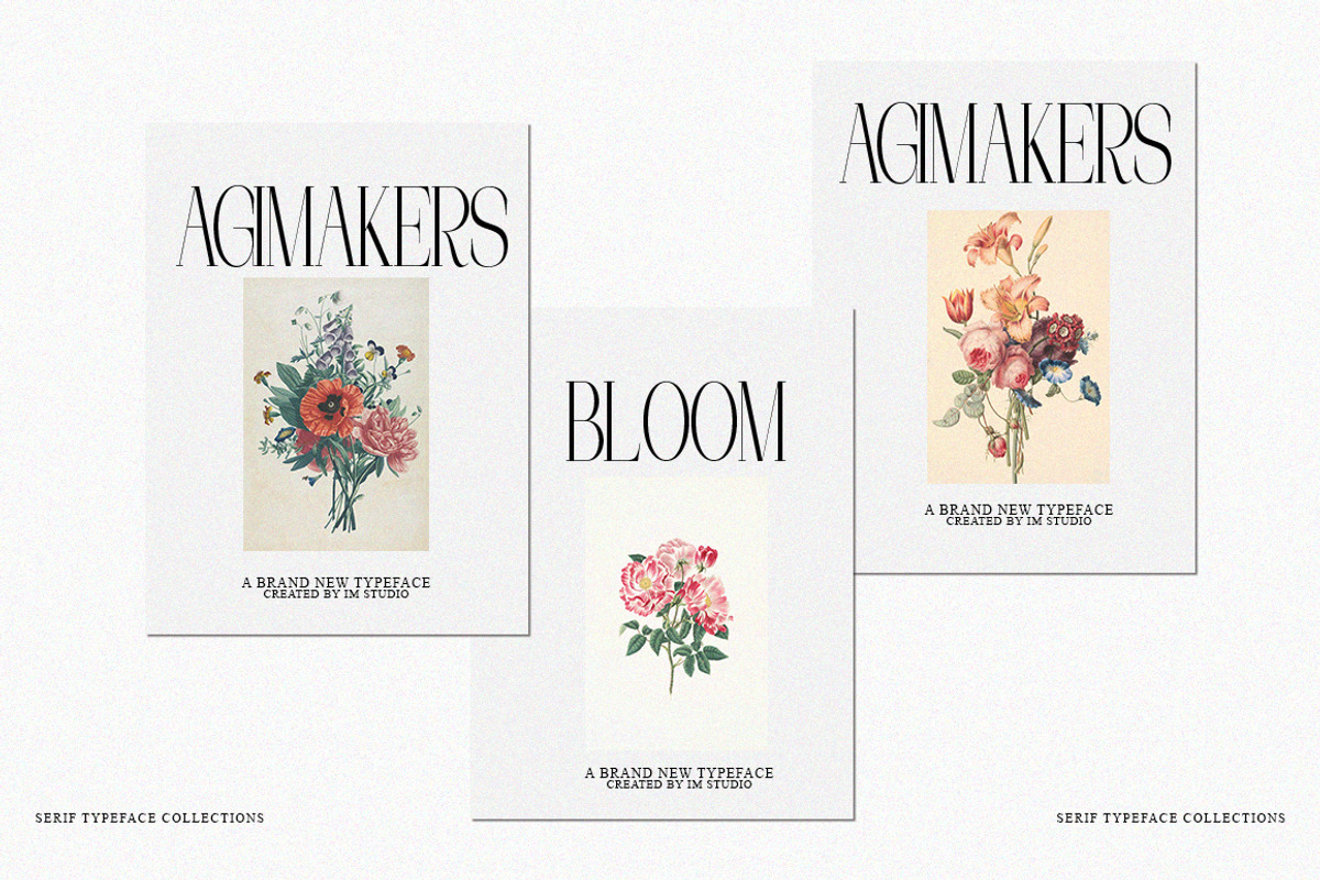 The Perfectly Migthem (11 Font), a Serif Font by IM Studio (Photo 6 of 9)