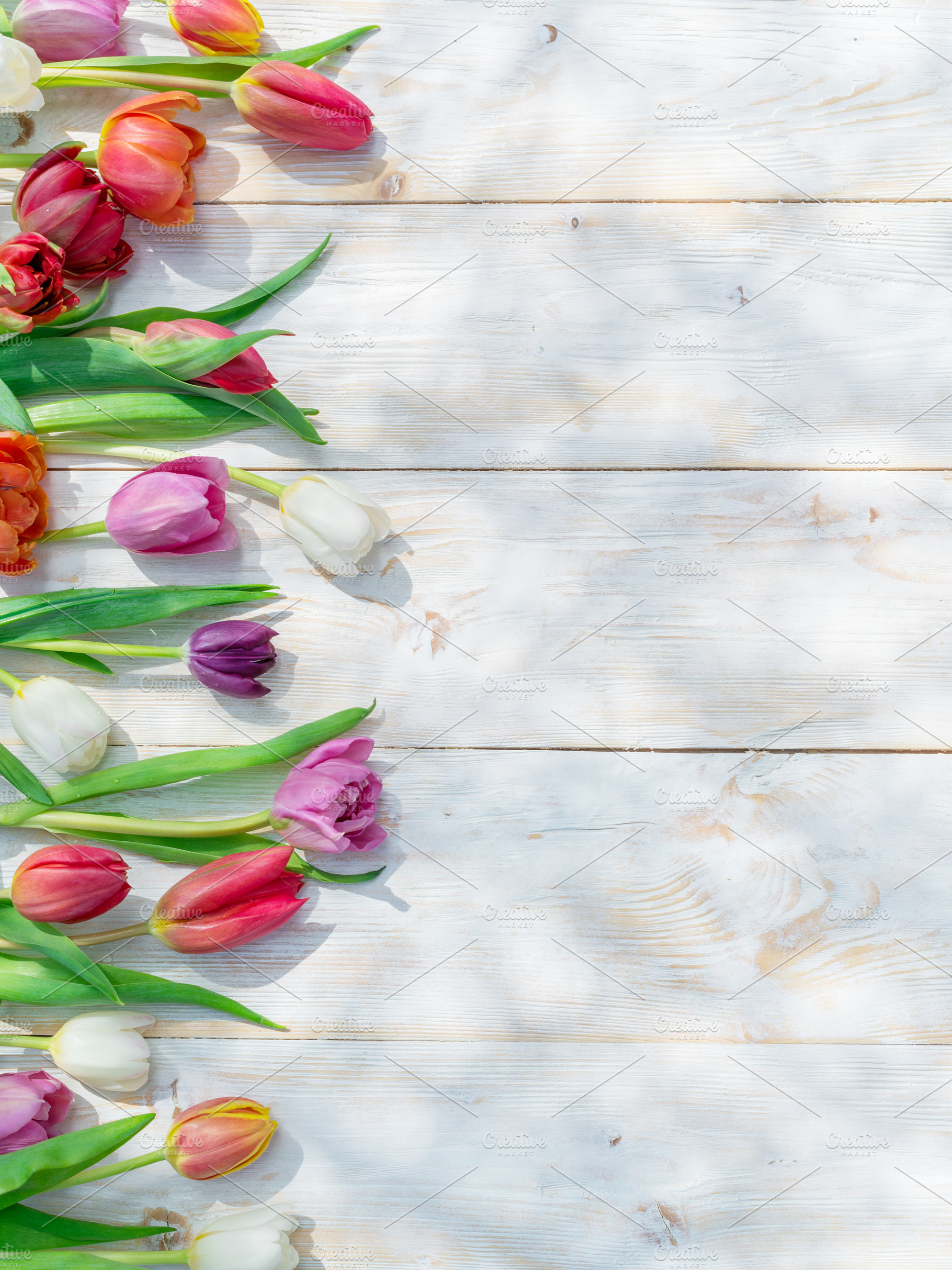 Colorful tulips on white wooden tabl, a Holiday Photo by Volff