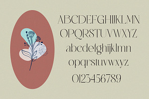 Migasike // Stylish Ligature Serif