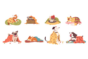 Pets with blanket. Cartoon cat and, an Animal Illustration by Stock-Smart-Start