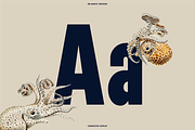 Nautic Grotesk - Modern Display Font, a Sans Serif Font by Bnick (Thumbnail 7 of 12)