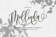 Mollinda - Modern Script Typeface, a Script Font by tebaltipislab (Thumbnail 1 of 10)