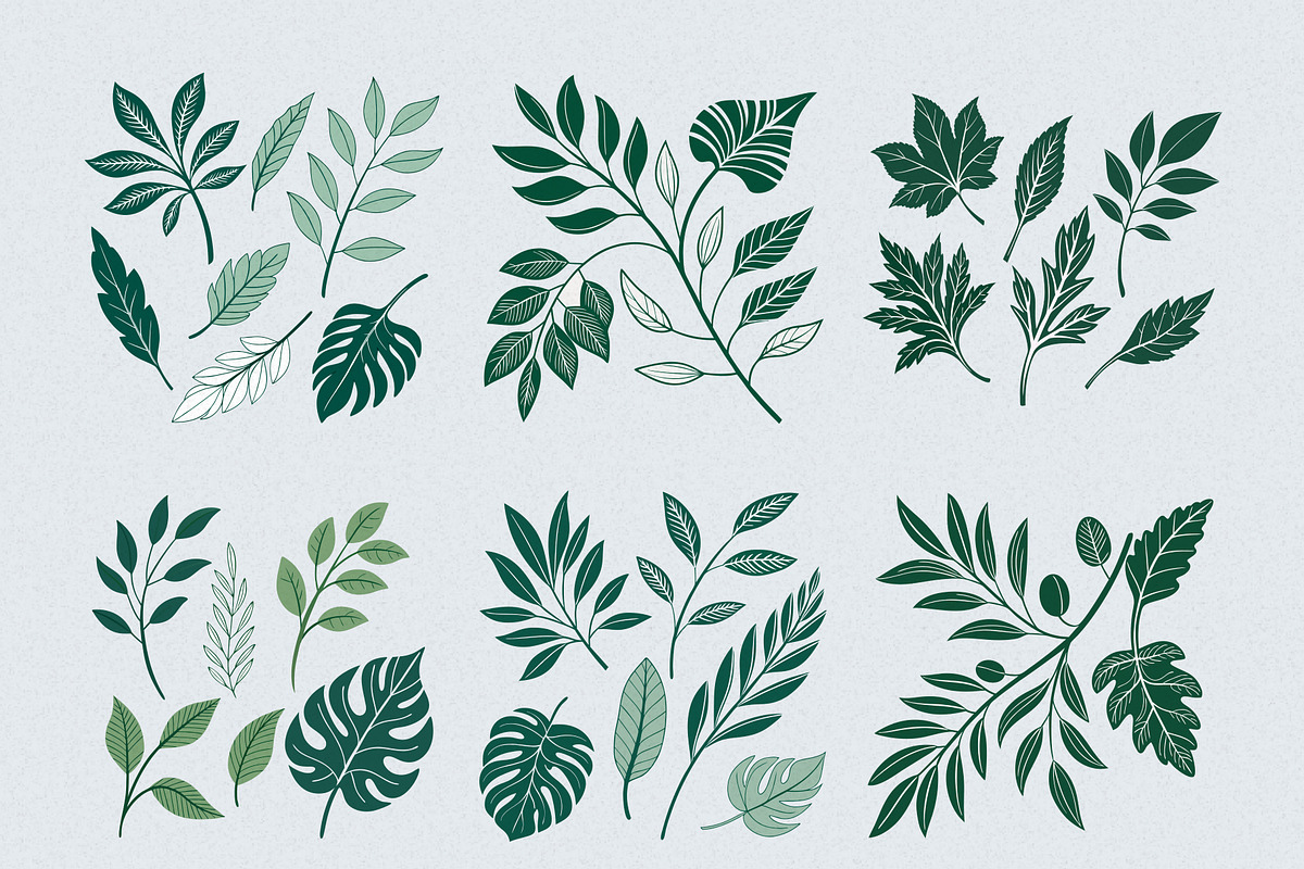 Green Leaves Watercolor Clipart, an Illustration by Helospace (Photo 7 of 10)
