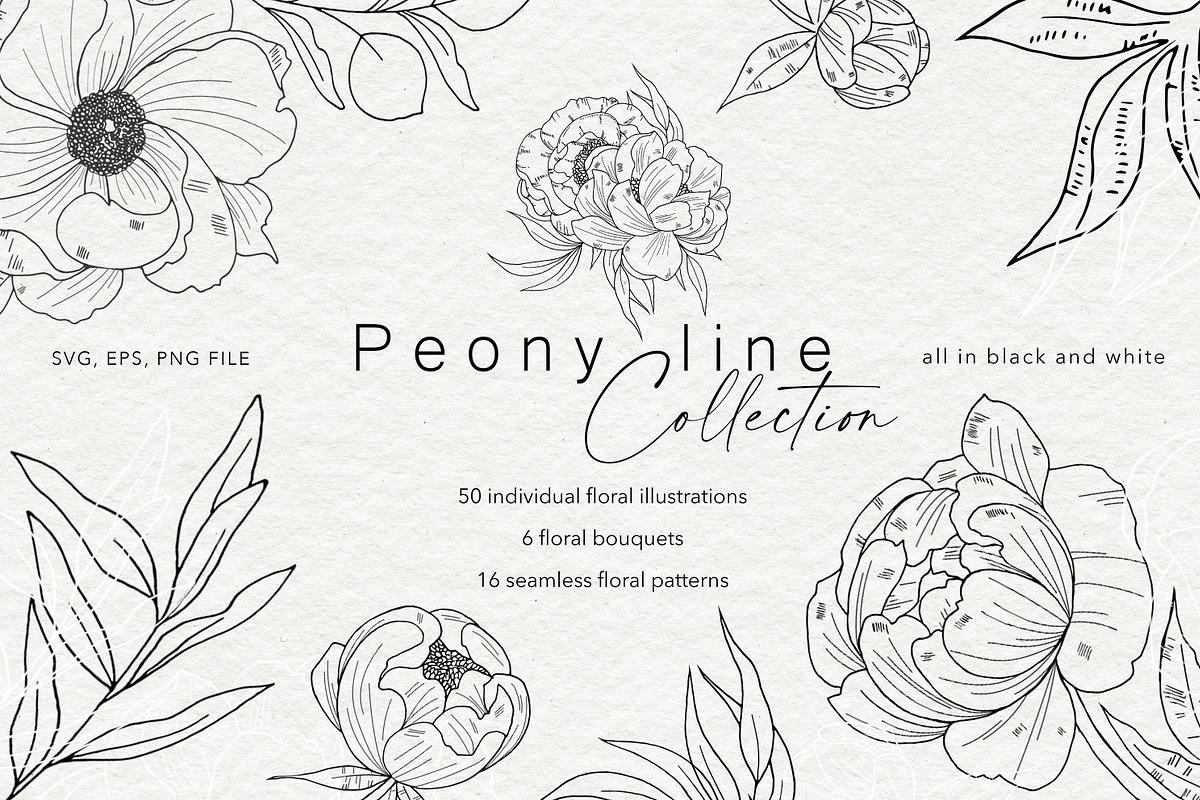 Peony Line Illustration - Flower Art, an Illustration by Ooh Lily (Photo 1 of 12)