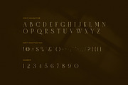 Mitra Macro Luxury Ligature Serif, a Serif Font by Graphicxell (Thumbnail 7 of 8)