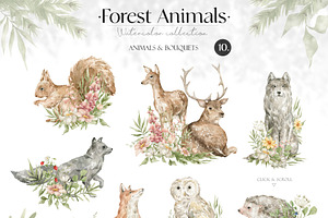 Forest Animals. Watercolor Wildlife