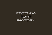 Tiempo: Hand Drawn Sans Serif, a Sans Serif Font by Fortuna Font Foundry (Thumbnail 4 of 4)