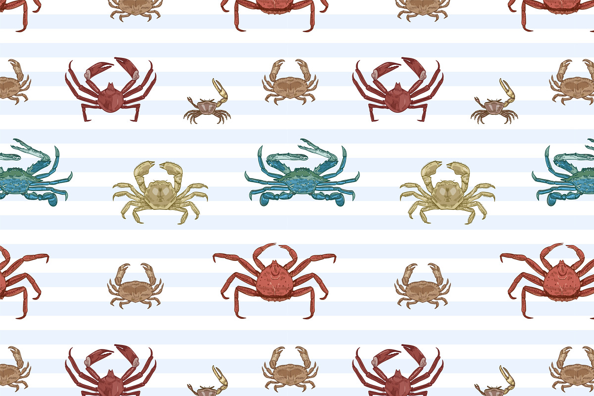 Crabs set + seamless patterns, an Animal Illustration by Good Studio (Photo 6 of 14)