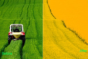 Summer Photoshop Actions 290 Bundle, an Action Add-On by ARTNEST (Thumbnail 11 of 12)