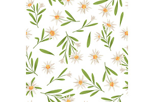 Edelweiss seamless pattern. Repeated, an Object Illustration by YummyBuum