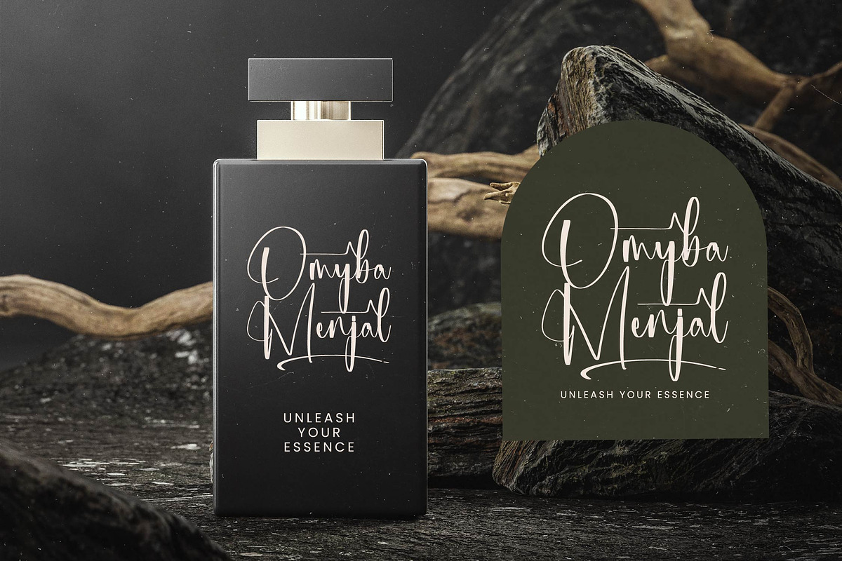 Michelyne Stylish Signature Font, a Script Font by stylishtype.co (Photo 6 of 20)