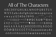 CS Reggie – Serif Typeface, a Serif Font by Craft Supply Co. (Thumbnail 8 of 8)