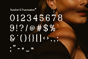 Buctera - Elegant Retro Serif Font, a Serif Font by Flawless And Co (Thumbnail 8 of 10)