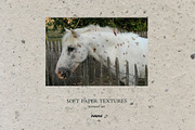 Soft Paper Textures - Natural Set, a Texture Graphic by Purple (Thumbnail 3 of 10)