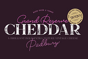 Boardwalk Avenue Rough Font Bundle, a Serif Font by Fenotype (Thumbnail 7 of 12)