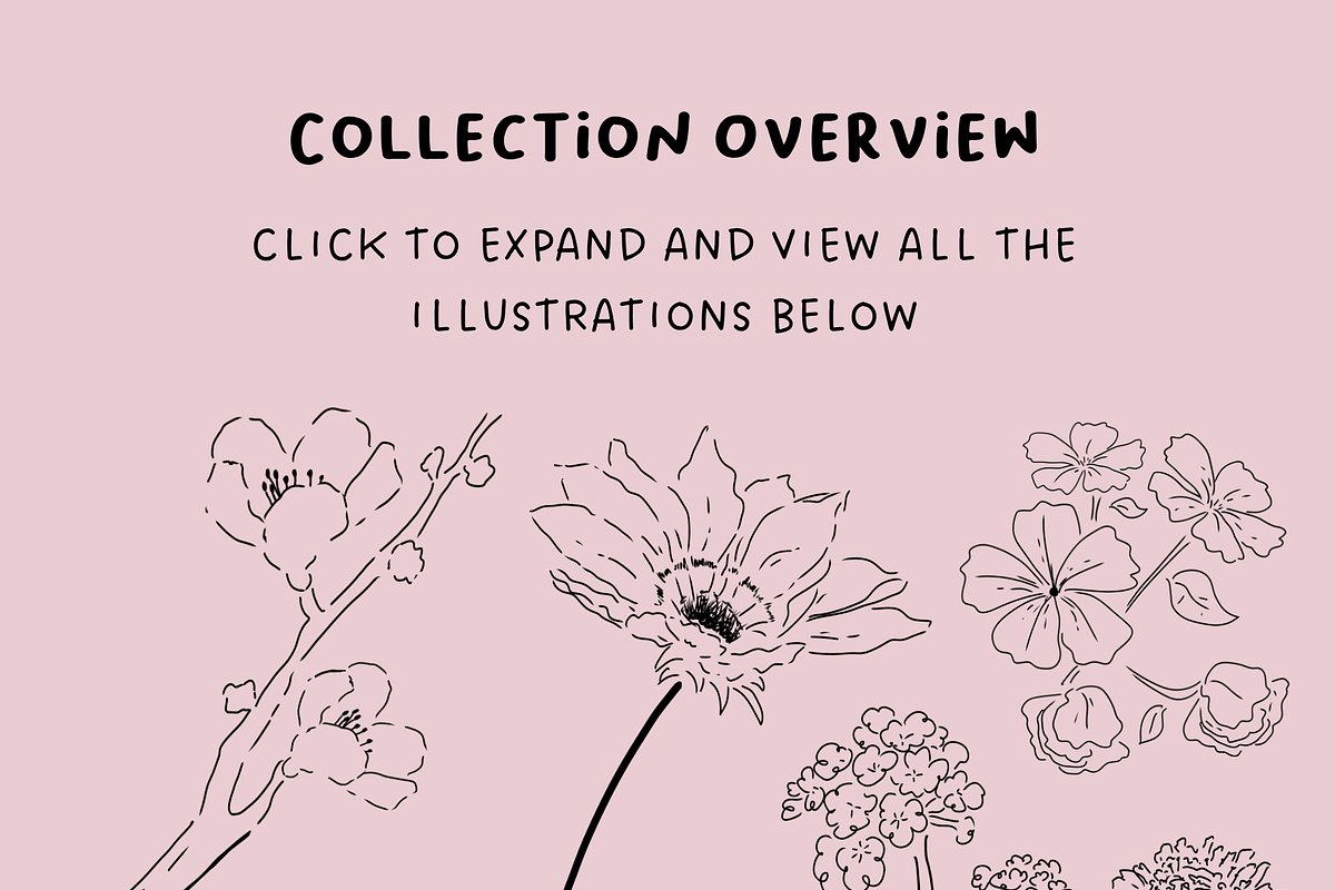 Wildflower Ink Atelier, a Decorative Illustration by The Journey Atelier (Photo 4 of 19)