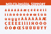 Torque - Serif Font, a Serif Font by Alpaprana (Thumbnail 9 of 10)