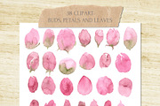 Into The Blush Watercolor Collection, an Object Graphic by Cat In Colour (Thumbnail 7 of 11)