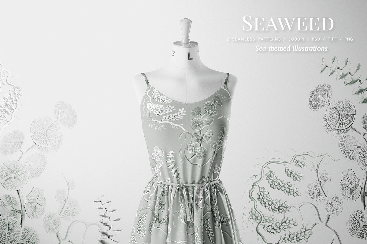 SEAWEED SEAMLESS PATTERNS & OBJECTS, a Decorative Illustration by Splash! (Photo 3 of 8)