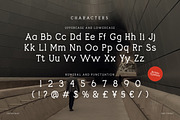 Bitfolio Contemporary Serif Font, a Serif Font by Vadovastd (Thumbnail 2 of 7)