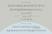 Ramashinta // Stylish Modern Serif, a Serif Font by BrandSemut (Thumbnail 8 of 9)
