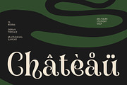 CS Redina – Fantasy Font, a Serif Font by Craft Supply Co. (Thumbnail 4 of 8)