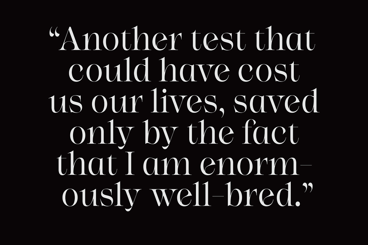 Niven, a Font by Simon Walker (Photo 3 of 7)