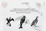 Vintage Bundle - 6600+ Illustrations, an Animal Illustration by Nomad Visuals (Thumbnail 40 of 45)