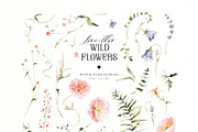 Line-thin watercolor wildflowers, a Decorative Illustration by Pamyatka Shop (Thumbnail 13 of 16)
