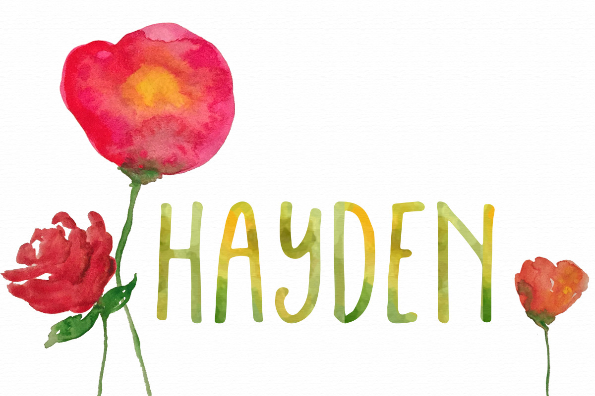 Hayden preview 2