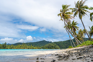 White sand beach at Coral Garden, Huahine, French Polynesia, wit, a Nature Photo by GoodGoods