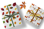 Dried Herbarium Thanksgiving leaves, an Animal Illustration by NataLyaroArt (Thumbnail 9 of 13)