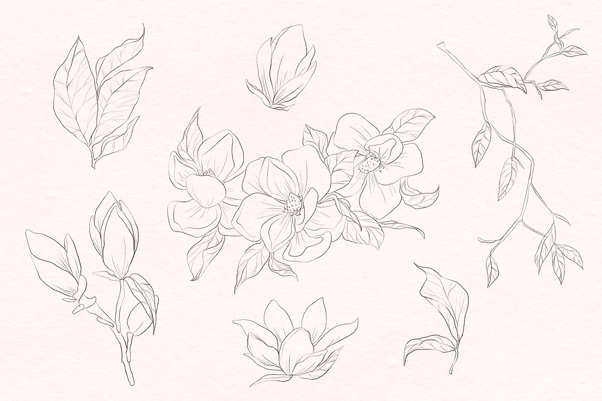 Modern Magnolia Floral Illustrations, an Illustration by Fire Spark Studio (Photo 4 of 9)