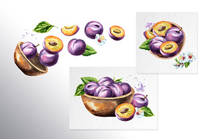 Plum. Watercolor Collection