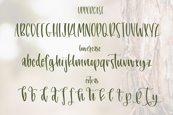 Juniper + Ivy Font Duo preview 6