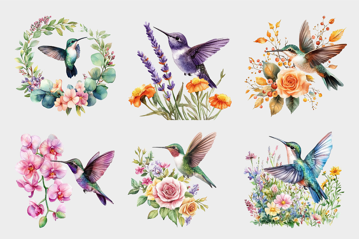 Watercolor Hummingbird Clipart, a Seasonal Illustration by Design Market (Photo 5 of 5)