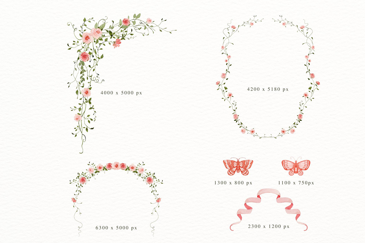 French roses with butterflies, a Decorative Illustration by AnnelyBlooms (Photo 7 of 8)