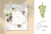 Watercolor Grapes Collection, a Decorative Illustration by MayaNavits (Thumbnail 7 of 9)