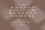 Fasmina Elegant Script Font, a Script Font by Elegant Font (Thumbnail 8 of 8)
