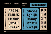 Lethalik – Blackletter Experimental, a Slab Serif Font by Drizy (Thumbnail 4 of 10)