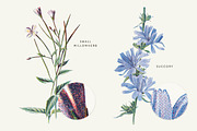 Vintage Flower Illustrations Bundle, an Illustration by Greta Ivy (Thumbnail 57 of 62)