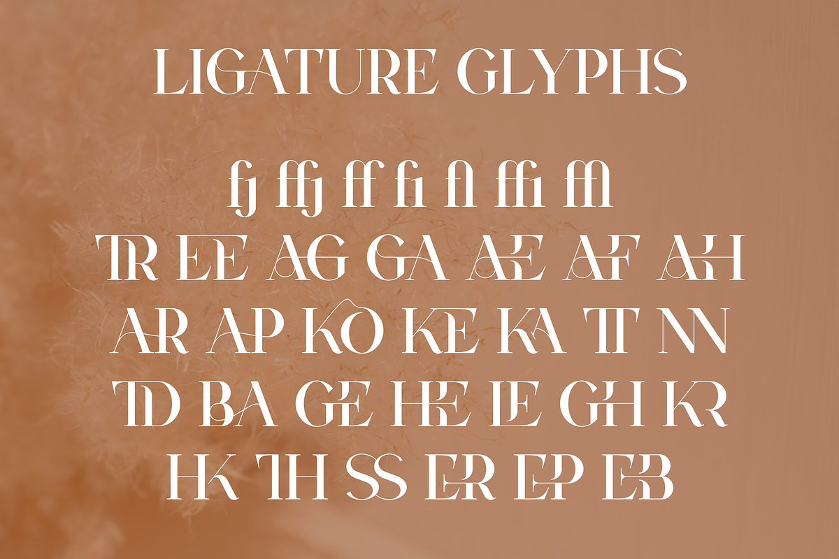 VSOP - elegant serif, 70 fonts, a Serif Font by VP Fonts (Photo 19 of 21)